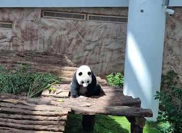 qatar/al-thakira-mangroves/attraction/panda-house