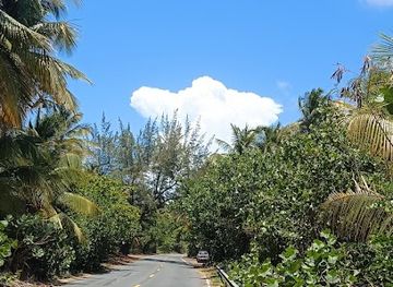 puerto-rico/san-juan/isla-verde/attraction/balneario-isla-verde