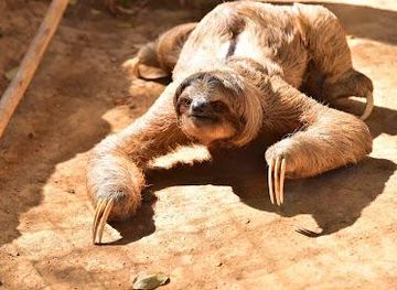 honduras/roatan/attraction/manawakie-eco-nature-park