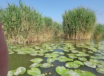 hungary/keszthely/attraction/obol-a-nadasban