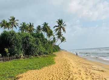 sri-lanka/colombo/attraction/wadduwa-beach