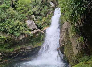 new-zealand/abel-tasman-national-park/attraction/wainui-falls