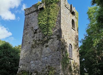 ireland/county-galway/attraction/rinville-park