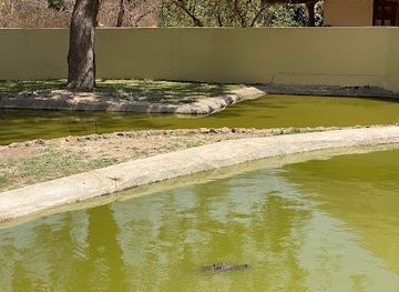 senegal/sine-saloum-delta/attraction/fathala-wildlife-reserve