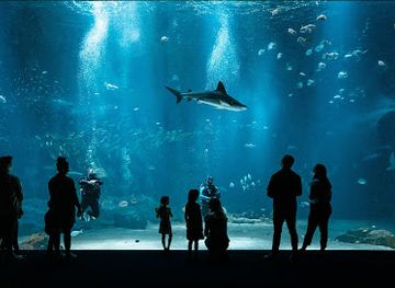 france/picardy/attraction/nausicaa-centre-national-de-la-mer