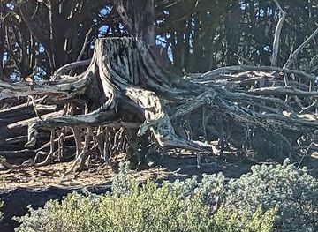 california/berkeley/attraction/ecology-trail