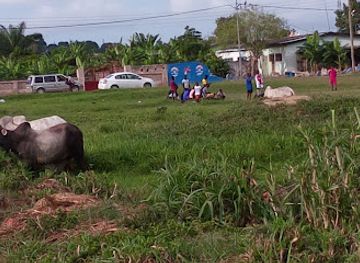 ghana/busua/attraction/c-k-mann-park