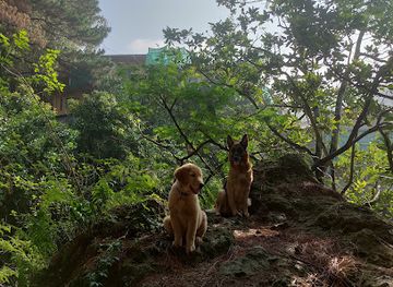 philippines/baguio/attraction/lebron-and-friends-sanctuary