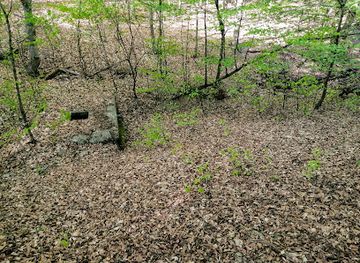 hungary/zemplen-mountains/attraction/kethegy-forras