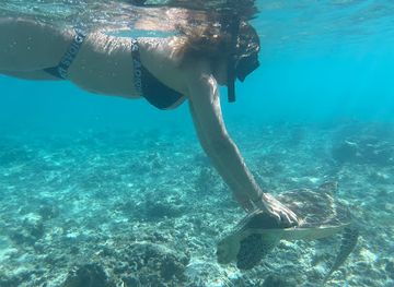 indonesia/gili-islands/attraction/turtle-point
