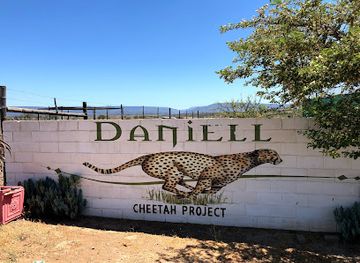 south-africa/addo-elephant-national-park/attraction/daniell-cheetah-project