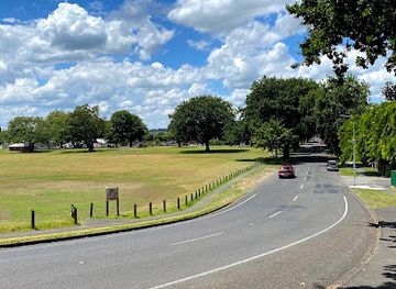 new-zealand/whanganui/attraction/peat-park