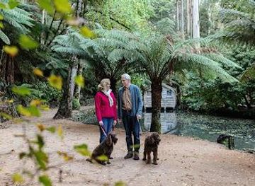 australia/melbourne/attraction/alfred-nicholas-memorial-garden