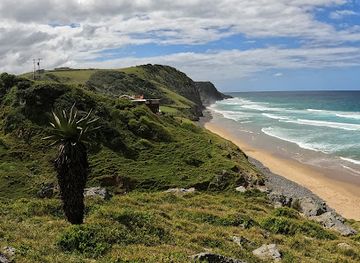 south-africa/wild-coast/attraction/wildview-beach