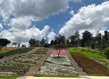 ethiopia/debre-libanos-monastery/attraction/friendship-park