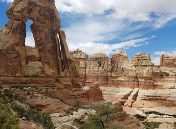 utah/canyonlands-national-park/attraction/druid-arch