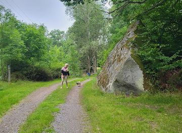 sweden/ostergotland/attraction/hanekulla