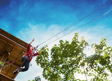 virginia/historic-triangle/attraction/go-ape-zipline-and-adventure-park