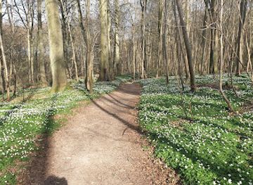 denmark/koge/attraction/skovhus-vanget