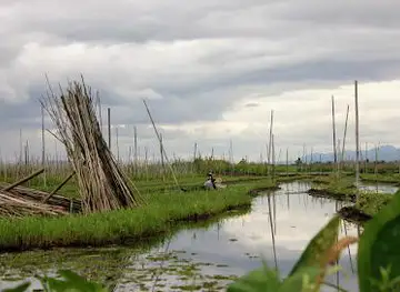 Floating Gardens of Inle Lake