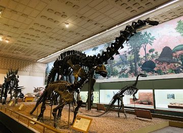 connecticut/new-haven-county/attraction/yale-peabody-museum