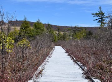 west-virginia/mountaineer-country/attraction/cranesville-swamp-preserve