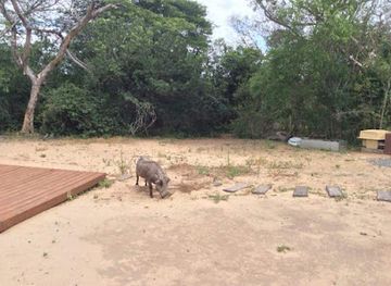 south-africa/hluhluwe-imfolozi-park/attraction/kuleni-game-park