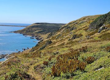 saint-pierre-and-miquelon/ile-aux-marins/attraction/le-belvedere-du-cap-de-miquelon