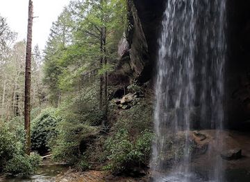 tennessee/cumberland-plateau/attraction/colditz-cove-state-natural-area