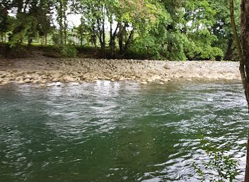 costa-rica/sarapiqui/attraction/pierella-ecological-garden