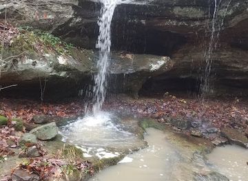 illinois/giant-city-state-park/attraction/red-cedar-trail