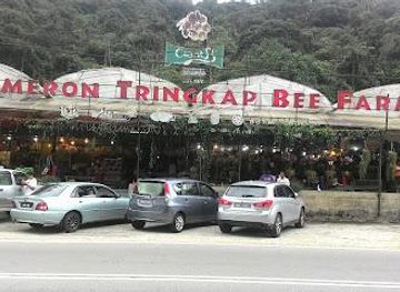 malaysia/cameron-highlands/attraction/cameron-tringkap-bee-farm