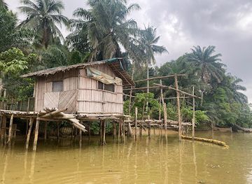 cote-d-ivoire/tai-national-park/attraction/domaine-bini-lagune
