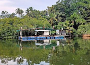 sri-lanka/bentota/attraction/madu-river-safari-ruwa-scenic-madu-ganga-boat-safari-delightful-tour-with-boat-ride-experience