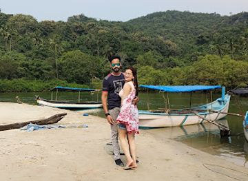 india/goa-beaches/attraction/palolem-beach-mangrove-forest