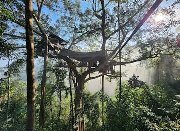 laos/phakse-province/attraction/the-gibbon-experience