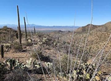 arizona/tucson/attraction/king-canyon-trailhead