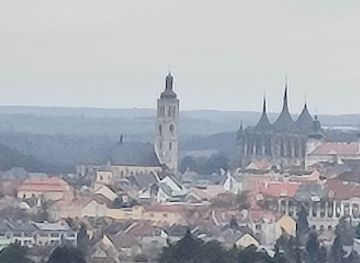 czechia/central-bohemia/attraction/menhir