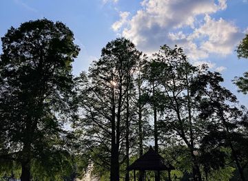 romania/dolj/attraction/photo-island