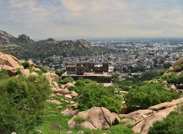 india/western-india/attraction/idariyo-gadh