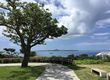 japan/oki/attraction/kaiyohaku-park-dolphin-lagoon