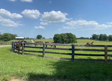 kentucky/lexington/attraction/mill-ridge-farm