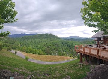 tennessee/great-smoky-mountains-national-park/attraction/treetop-skywalk-at-anakeesta