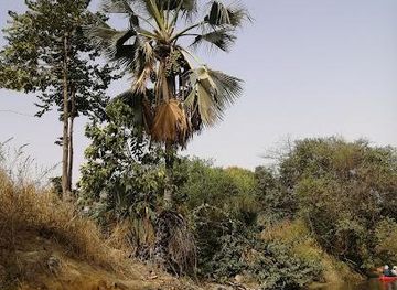 the-gambia/brikama/attraction/tanji-bird-reserve