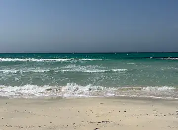 Rekik's Beach