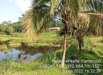 cameroon/edea/attraction/lac-d-ekouadjom