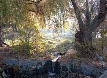 armenia/haghpat/attraction/the-grove
