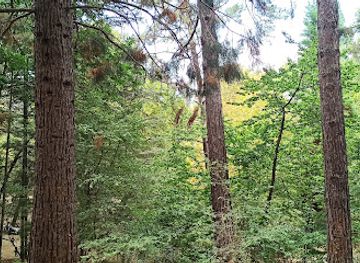 cyprus/kokkinochoria-red-soil-villages/attraction/platania-picnic-site