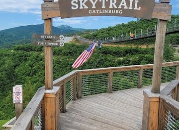 tennessee/great-smoky-mountains-national-park/attraction/skybridge