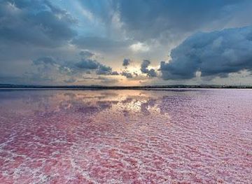 spain/alicante/attraction/salinas-de-torrevieja